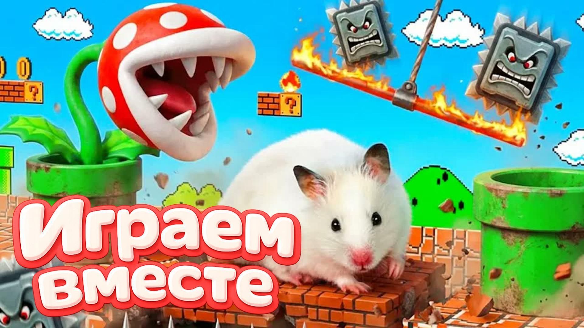МАРИО ЛАБИРИНТ ДЛЯ ХОМЯКА ! Выбираемся вместе из игры МАРИО ! Видео для детей ЧАСТЬ 2 смотреть онлайн