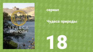 Чудеса природы 18 серия (документальный сериал, 2011)