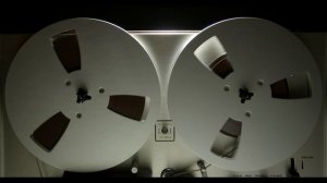 Кошачий шансон.