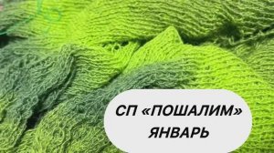 СП «ПоШалим» Январь провальный #шаль