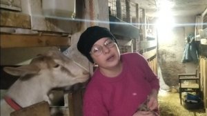 28-01-2026 Утепление дверей в стайке / моё хозяйство / куры / козы.