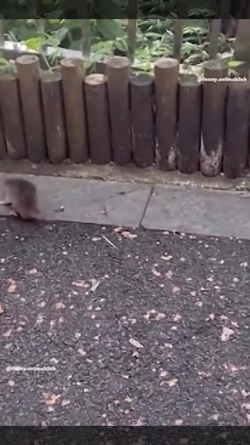 ПОЗИТИВЧИК № 0002