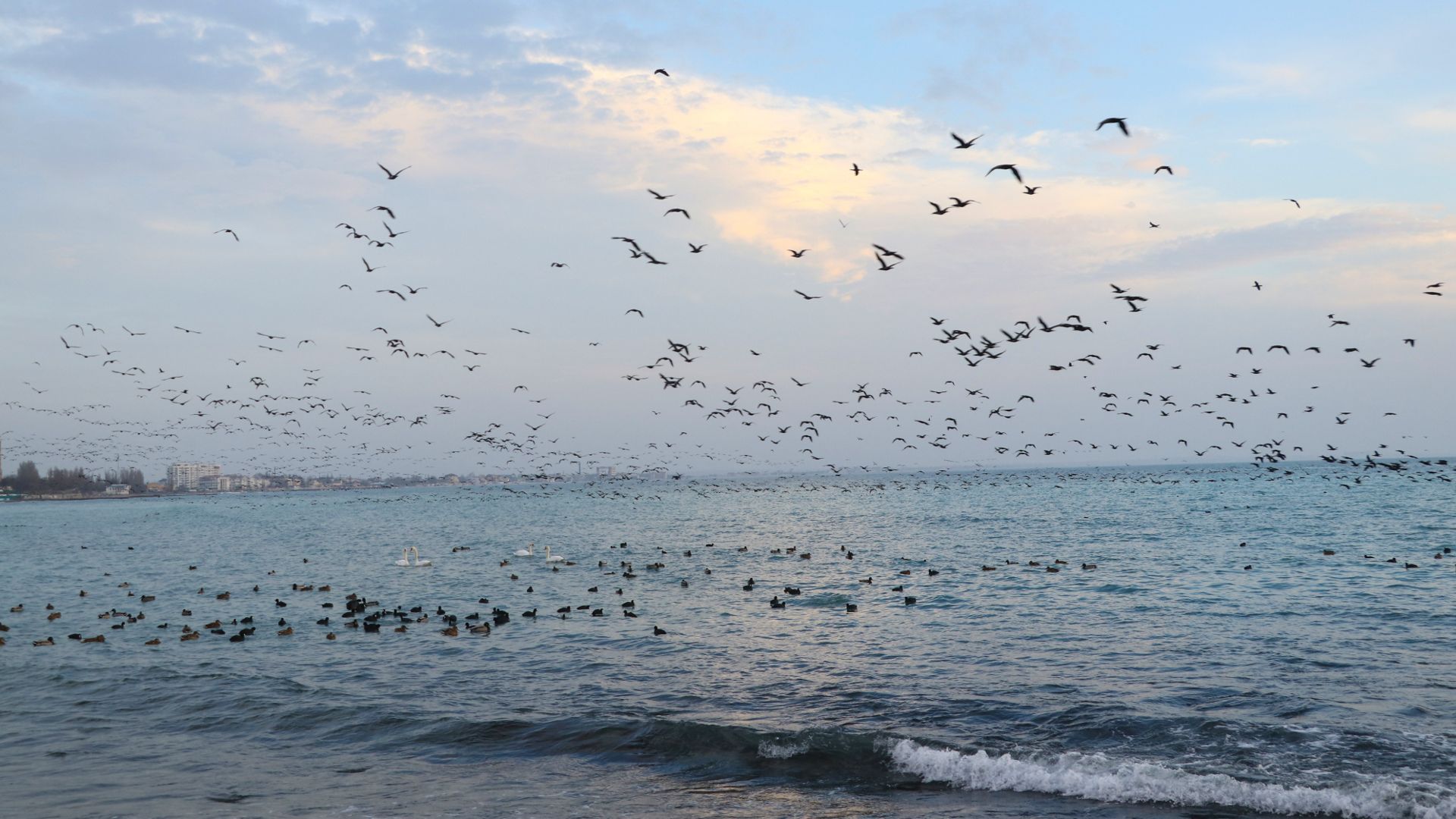 В воздухе веет весной. смотреть онлайн
