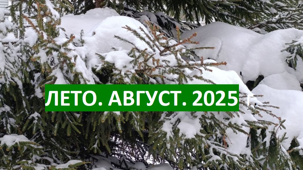 Поиск удельного места. смотреть онлайн