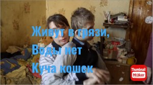 Вася на сене. Живут без воды, в грязи и с кучей кошек.