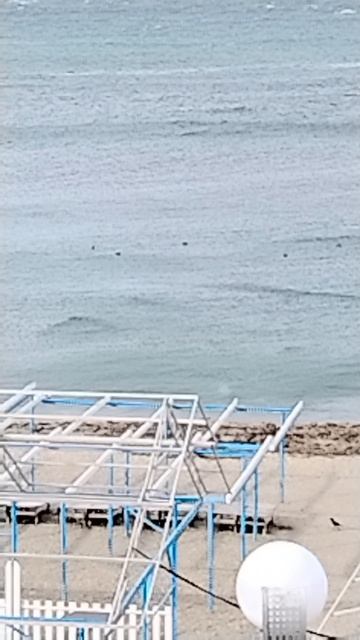 Температура воздуха и воды в море Анапа вчера