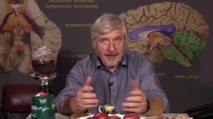 Если у вас хорошая память