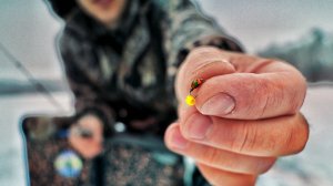 Попал на слом погоды сырный кубик выручает. рыбалка на безмотылку