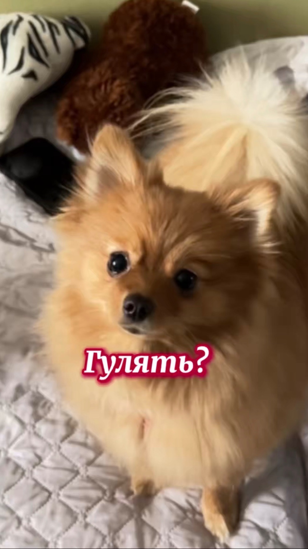 Нисса настаивает на прогулке