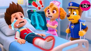 Щенячий патруль и Маршалл. Залипательное видео. Мультфильм для детей и малышей. Анимация 144