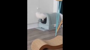 Смех до слёз