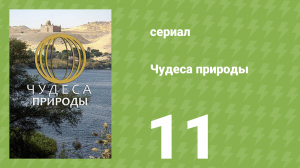 Чудеса природы 11 серия (документальный сериал, 2011)