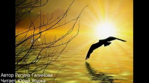 Существует закон бумеранга. Автор Регина Галимова. Читает Юрий Ходжа