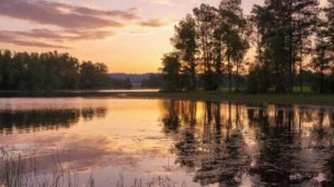 На то тебя Господь благословил.