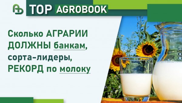 Сколько аграрии должны банкам, сорта-лидеры, рекорд по молоку | TOP Agrobook: обзор агроновостей