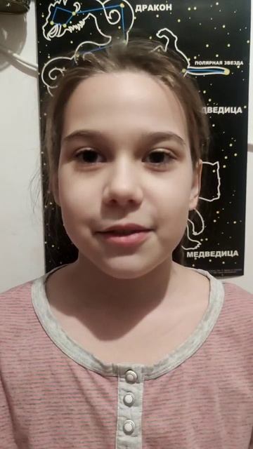 «Пифагоровы штаны» — с нами ваш ребенок полюбит математику! смотреть онлайн