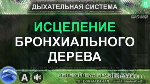 Очищение Бронхов и Бронхиол  Дыши Свободно! Восстановление Дыхательных Путей