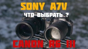 сравнение canon r6 III vs Sony a7V