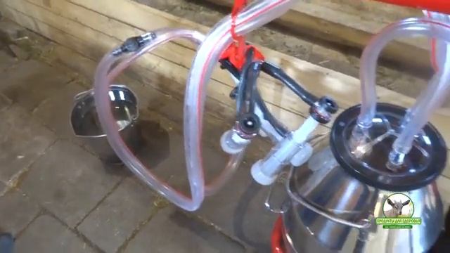 Доильный аппарат Меласти "Melasty" на две козы. Обзор-Промывка-Дойка смотреть онлайн