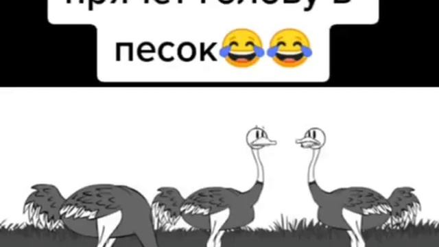 😂