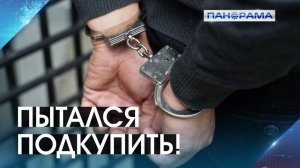50 тысяч рублей за тишину: в Донецке задержан взяточник! 28.01.2026.Панорама