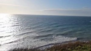 #184.Москва,опять снег,в Анапе сын заселился в санаторий ДиЛуч.тепло и Лебеди приплыли.