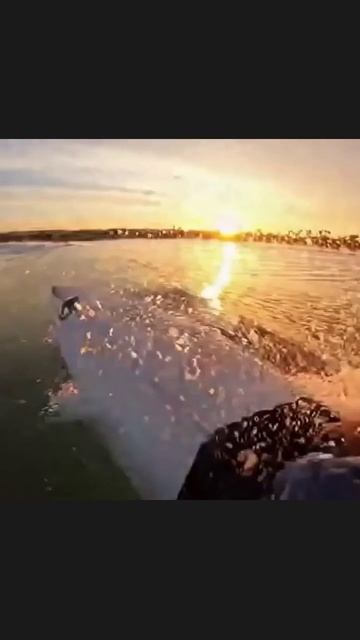 #сёрфинг #волныИСолнце #водныеСпорт #адреналинНаСерфе #серфингПоиск #серфингЖизнь