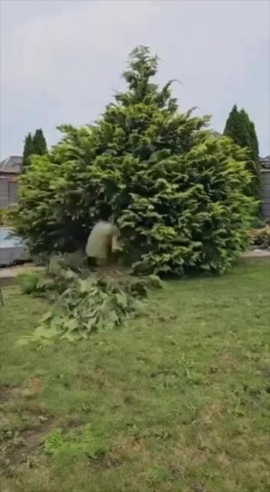 Было и сталo.