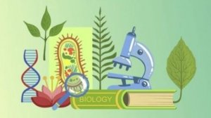 Биология 11 класс. Макроэвалюция.