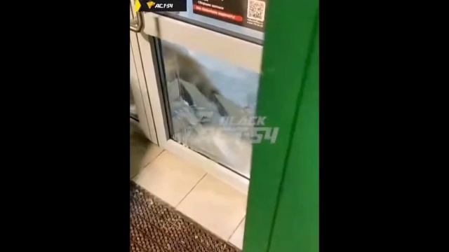 Агрессивная лиса пыталась проникнуть в супермаркет в селе Боровое смотреть онлайн