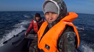 Трое в лодке и куча минтая