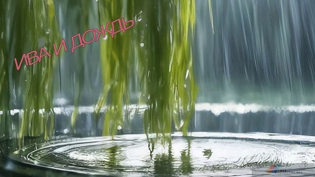 ИВА И ДОЖДЬ - Жанна Вишнякова Арс смотреть онлайн