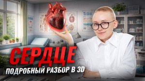 СЕРДЦЕ | Подробный 3D разбор для ОГЭ по биологии | Елена Зеленская | Умскул