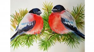 Снегири. Рисунок акварельными красками.