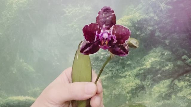 а89 смотреть онлайн