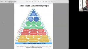 Движение — это база когнитивного развития