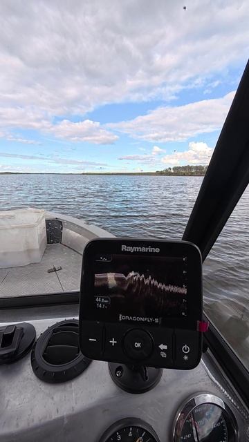 Эхолот Райнмарин 5 отрисовка ДНА на ходу!!! смотреть онлайн