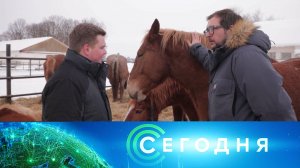«Сегодня»: 28 января 2026 года. 10:00 | Выпуск новостей | Новости НТВ