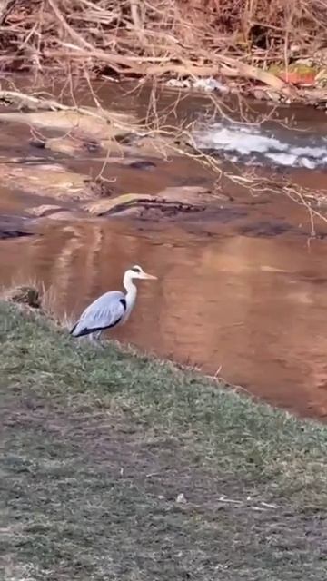 На природе.