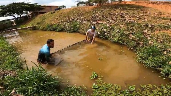 ЛОВЯЩИЕ ГИГАНСТКУЮ АРАПАИМУ
