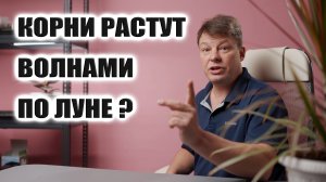 Лунный посевной календарь - точно существует, но вокруг конечно же множество шарлатанов