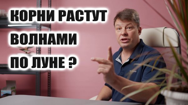 Лунный посевной календарь - точно существует, но вокруг конечно же множество шарлатанов