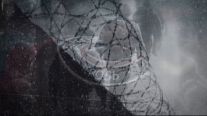 Утро Доброе Друзья