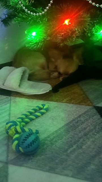 🎁🎁🎁 #подарок