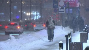 Снегопад в столичном регионе бьет рекорды - сугробы уже полметра.