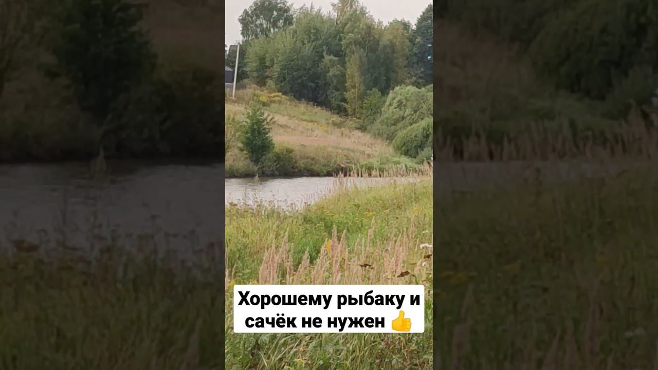 Хорошему рыбаку и сачёк не нужен