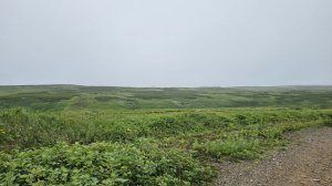 Дорога на высоту 171, остров Шумшу, 29 июля 2025