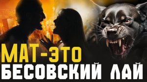 Нас убивают внутренние враги! Протоиерей Андрей Ткачёв