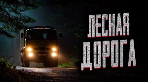 Лесная дорога. Страшные истории на ночь. Мистика. Страшилки на ночь.