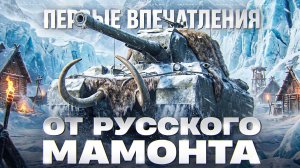 ТЭТ-100 - ПЕРВЫЕ ОЩУЩЕНИЯ ОТ РУССКОГО МАМОНТА 10 УРОВНЯ!